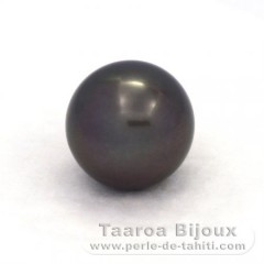 Tahitian Pearl Round B 12.5 mm