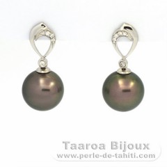 Rhodiated Sterling Silver Earrings and 2 Tahitian Pearls Round C 11 mm