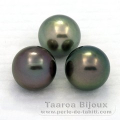 Lot of 3 Tahitian Pearls Round C from 11.1 to 11.4 mm