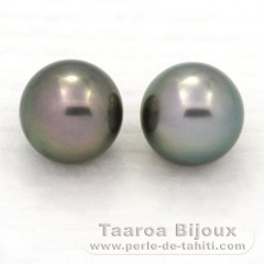 Lot of 2 Tahitian Pearls Round C 11.3 mm