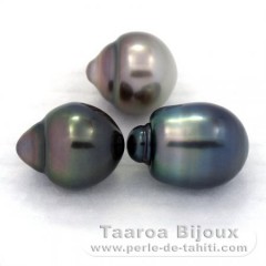 Lot of 3 Tahitian Pearls Semi-Baroque B from 10.5 to 10.6 mm