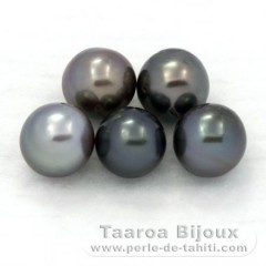 Lot of 5 Tahitian Pearls Semi-Baroque C/D from 8 to 8.4 mm