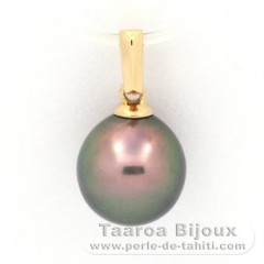 18K solid Gold Pendant and 1 Tahitian Pearl Semi-Baroque B 9.1 mm