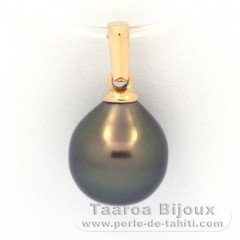 18K solid Gold Pendant and 1 Tahitian Pearl Semi-Baroque A 9.3 mm