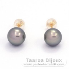 18K solid Gold Earrings and 2 Tahitian Pearls Round B 8.7 mm