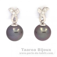 Rhodiated Sterling Silver Earrings and 2 Tahitian Pearls Round C 9.1 mm