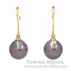 18K solid Gold Earrings and 2 Tahitian Pearls Semi-Baroque B 9.7 mm