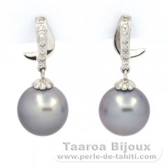 Rhodiated Sterling Silver Earrings and 2 Tahitian Pearls Near-Round C 11.8 mm