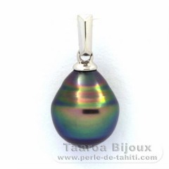 Rhodiated Sterling Silver Pendant and 1 Tahitian Pearl Ringed C 9.2 mm