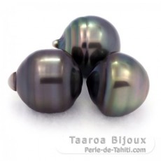 Lot of 3 Tahitian Pearls Ringed C from 12.6 to 12.9 mm