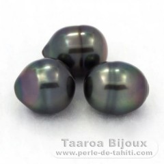 Lot of 3 Tahitian Pearls Ringed B from 9.2 to 9.7 mm