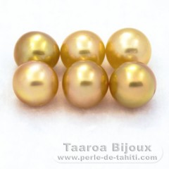 Lot of 6 Australian Pearls Near-Round C from 8.7 to 8.9 mm