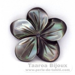 Flower of Tahitian mother-of-pearl - Diameter : 15 mm
