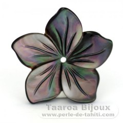 Flower of Tahitian mother-of-pearl - Diameter : 20 mm
