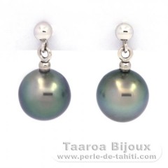 18K Solid White Gold Earrings and 2 Tahitian Pearls Near-Round B 8.4 mm
