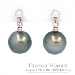 18K Solid White Gold Earrings and 2 Tahitian Pearls Near-Round B 8.4 mm