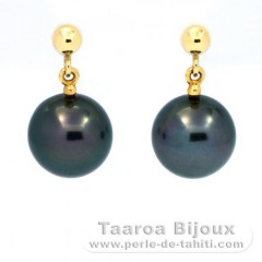 18K solid Gold Earrings and 2 Tahitian Pearls Round B 8.2 mm