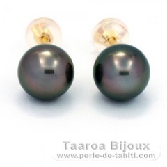 18K solid Gold Earrings and 2 Tahitian Pearls Round B 8.1 mm