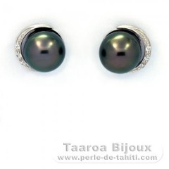 Rhodiated Sterling Silver Earrings and 2 Tahitian Pearls Near-Round 1 B & 1 C 8.4 mm