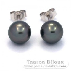 Rhodiated Sterling Silver Earrings and 2 Tahitian Pearls Round C 8 mm