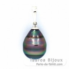 Rhodiated Sterling Silver Pendant and 1 Tahitian Pearl Ringed C 10.1 mm