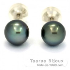 Rhodiated Sterling Silver Earrings and 2 Tahitian Pearls Near-Round C 8 mm