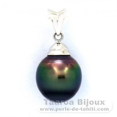 Rhodiated Sterling Silver Pendant and 1 Tahitian Pearl Ringed C 10.1 mm