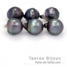 Lot of 6 Tahitian Pearls Ringed D from 13  13.4 mm