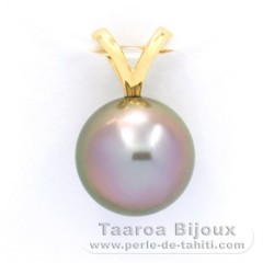 18K solid Gold Pendant and 1 Tahitian Pearl Round B 9.9 mm