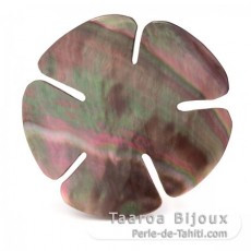 Tahitian mother-of-pearl round shape - 50 mm diameter