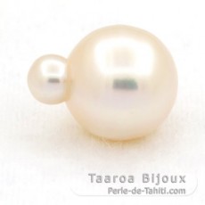 Australian Pearl Ringed C 14.6 mm