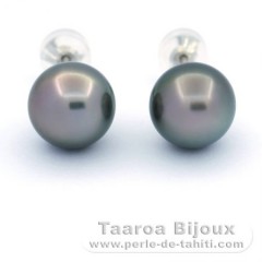 Rhodiated Sterling Silver Earrings and 2 Tahitian Pearls Round C 10.8 mm