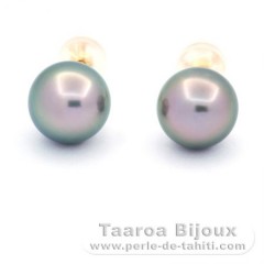 18K solid Gold Earrings and 2 Tahitian Pearls Round B 8.8 mm