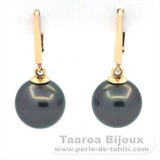 14K solid Gold Earrings and 2 Tahitian Pearls Round B 9.9 mm