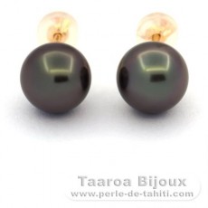 18K solid Gold Earrings and 2 Tahitian Pearls Round B 8.8 mm