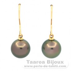 18K solid Gold Earrings and 2 Tahitian Pearls Round B 9.6 mm