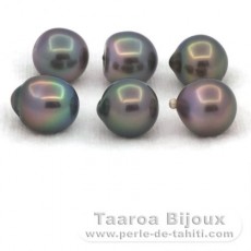 Lot of 6 Tahitian Pearls Semi-Baroque B from 9.5 to 9.8 mm