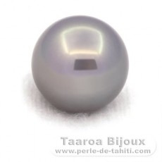 Tahitian Pearl Round B 13.1 mm