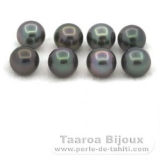 Lot of 8 Tahitian Pearls Round and Near-Round C from 8.6 to 8.9 mm