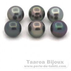Lot of 6 Tahitian Pearls Round and Near-Round C from 8.5 to 8.6 mm