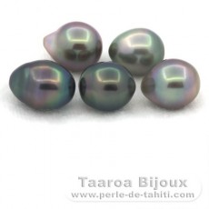 Lot of 5 Tahitian Pearls Semi-Baroque B from 9 to 9.4 mm