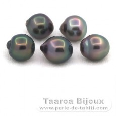 Lot of 5 Tahitian Pearls Semi-Baroque B from 9.5 to 9.6 mm