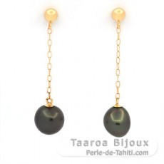 18K Gold Earrings and 2 Tahitian Keishis