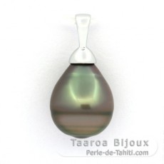 Rhodiated Sterling Silver Pendant and 1 Tahitian Pearl Ringed B 10.6 mm