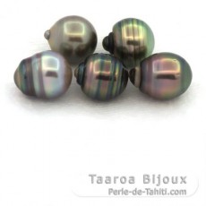Lot of 5 Tahitian Pearls Ringed C from 9.4 to 9.9 mm
