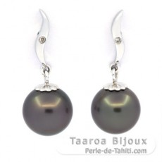 Rhodiated Sterling Silver Earrings and 2 Tahitian Pearls Round C 8.9 mm