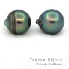 Lot of 2 Tahitian Pearls Ringed C 13.5 mm