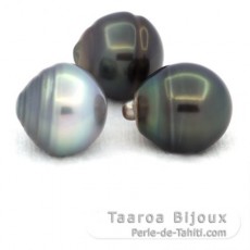 Lot of 3 Tahitian Pearls Ringed C from 12.5 to 12.9 mm