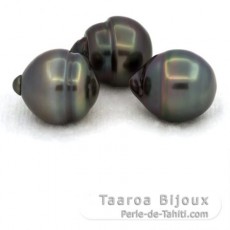 Lot of 3 Tahitian Pearls Ringed C from 11.5 to 11.9 mm