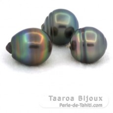 Lot of 3 Tahitian Pearls Ringed C from 13 to 13.2 mm